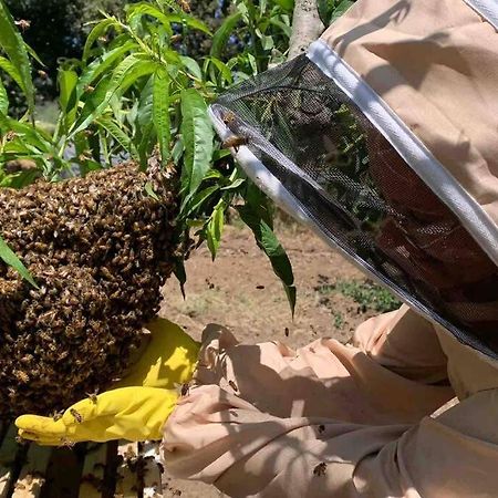 Agriturismo Il Sorbino - Appartamento Da Cocca Pian d'Alma Ngoại thất bức ảnh
