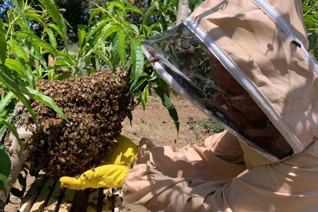 Agriturismo Il Sorbino - Appartamento Da Cocca Pian d'Alma Ngoại thất bức ảnh