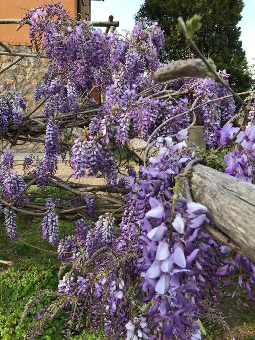 Agriturismo Il Sorbino - Appartamento Da Cocca Pian d'Alma Ngoại thất bức ảnh