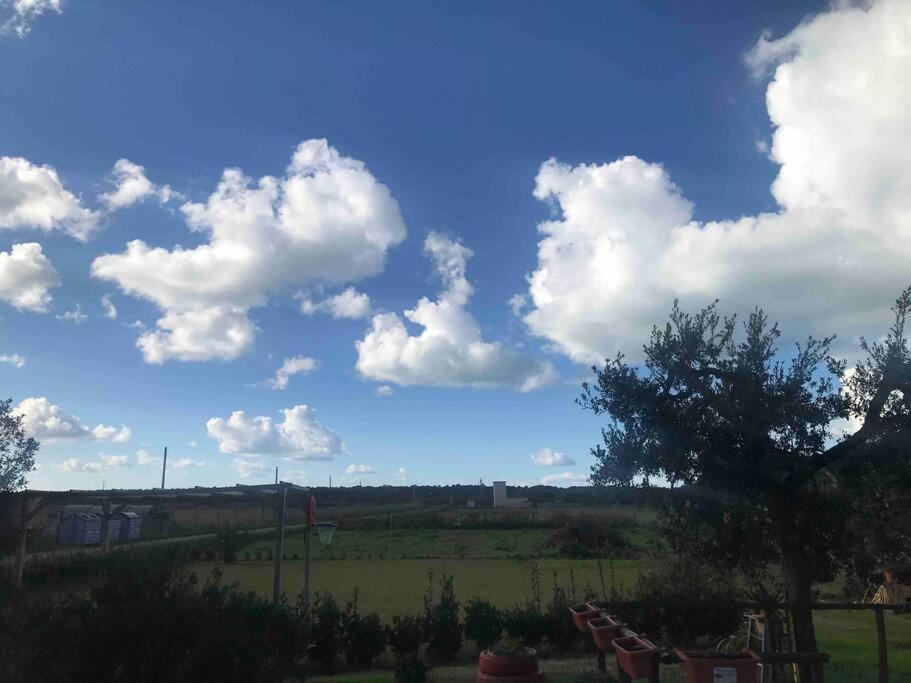Agriturismo Il Sorbino - Appartamento Da Cocca Pian d'Alma Ngoại thất bức ảnh