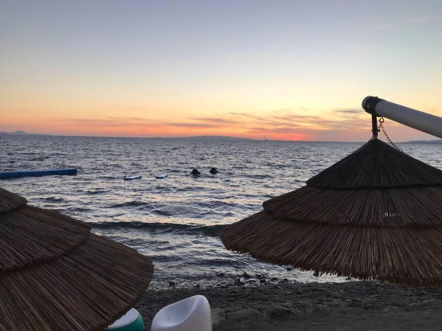 Agriturismo Il Sorbino - Appartamento Da Cocca Pian d'Alma Ngoại thất bức ảnh